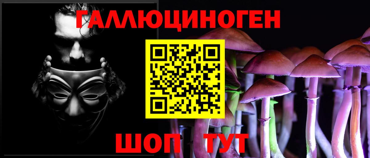 Псилоцибиновые грибы GOLDEN TEACHER  наркотики  Кировск  Вход с VPN 